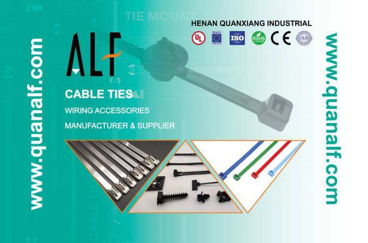 Henan Quanxiang Industrial Co., Ltd.